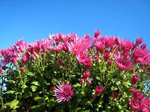 IMG_0849
